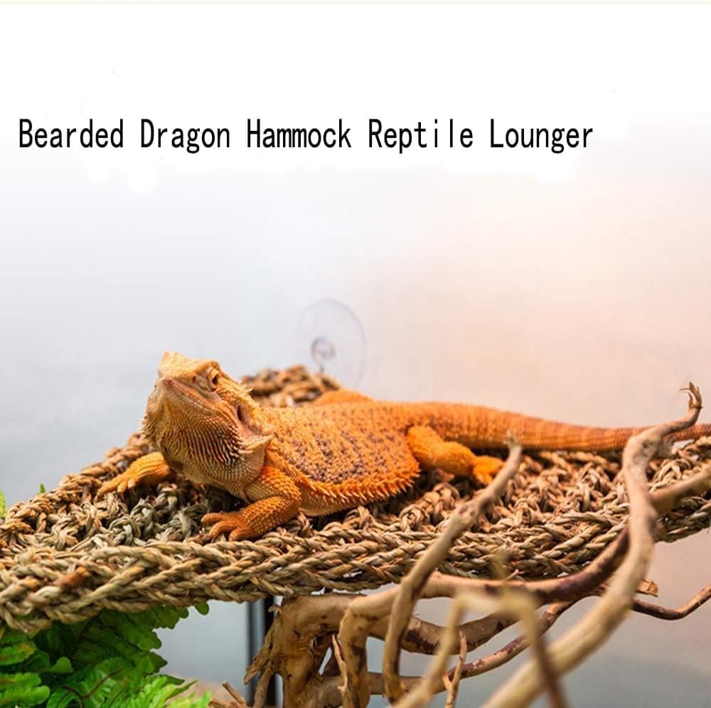 kathson Bearded Dragon Hammock, Bearded Dragon Accessories, Natural Seagrass Reptile Hammock, Reptile Lounger Habitat Decor for Chameleons, Lizards, Geckos, and Snakes(11 x 7.8 x 7.8 inches, 2 PCS)