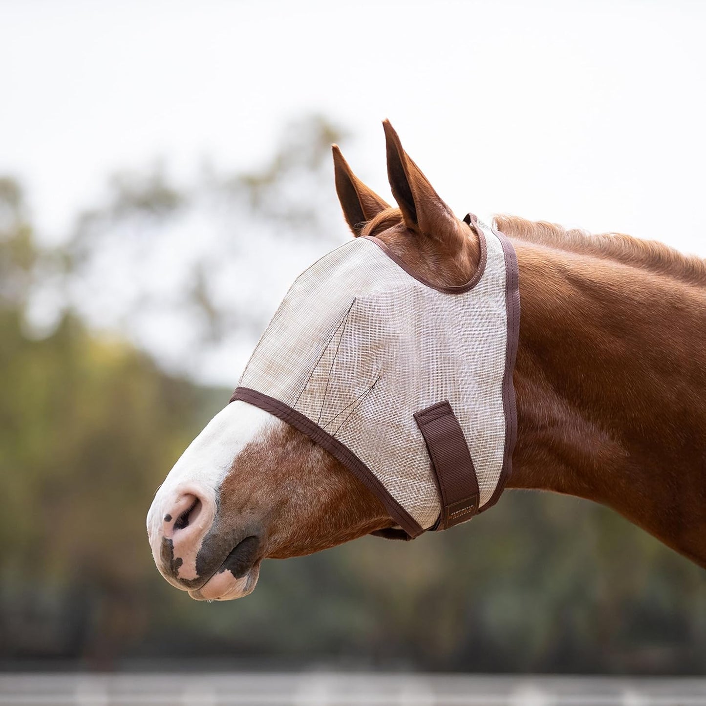 Kensington Fly Mask Web Trim Protects Horses Face and Eyes from Bites and Sun Rays While Allowing Full Visibility Ears and Forelock Able to Come Through The Mask, Small, Desert Sand