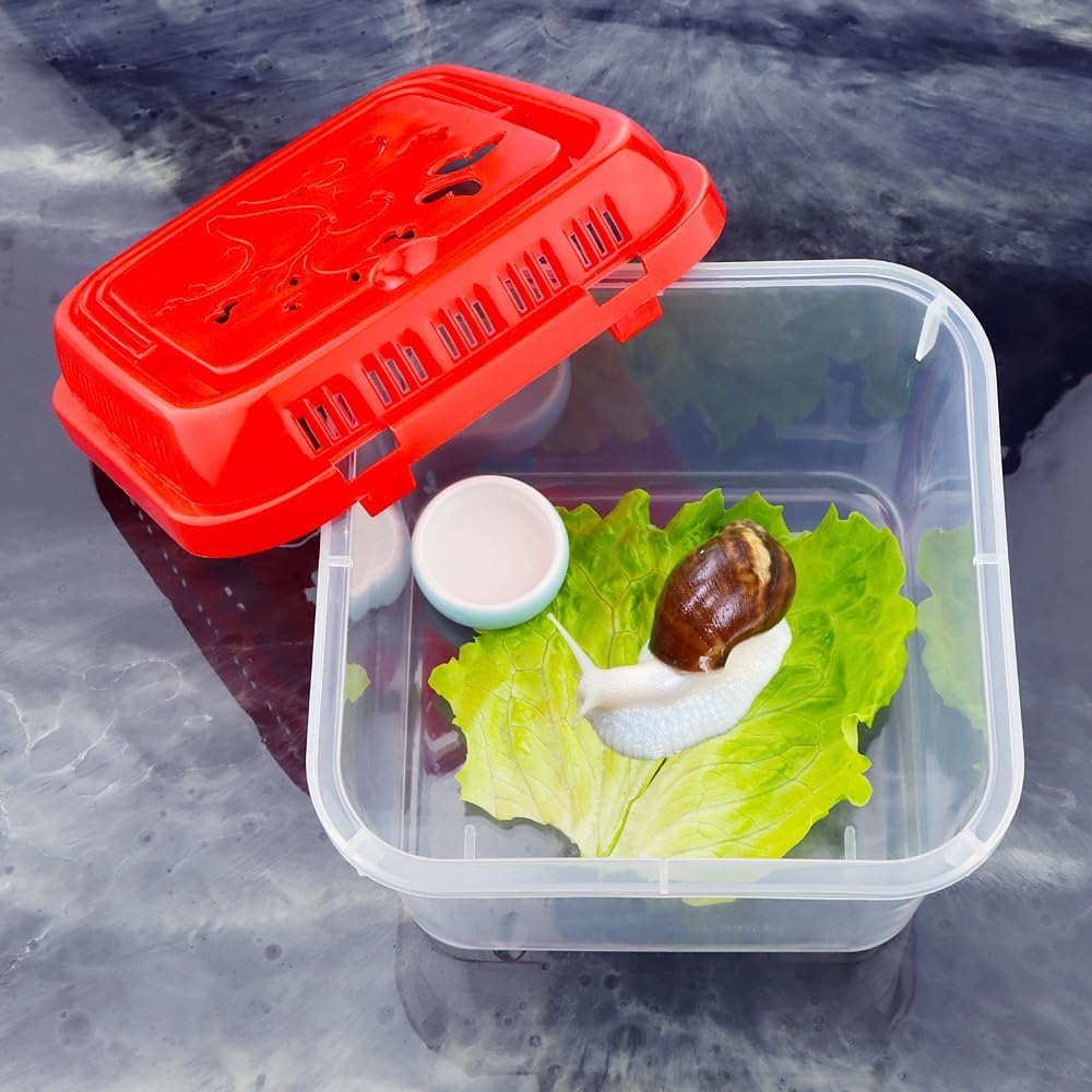 14 Pack Small Plastic Reptile Carrier Breeding Box Hatching Container for Fish Turtle Hermit Crab Spider Snake Bearded Dragon Lizard (4.7 x 4.7 x 3.9 Inch)