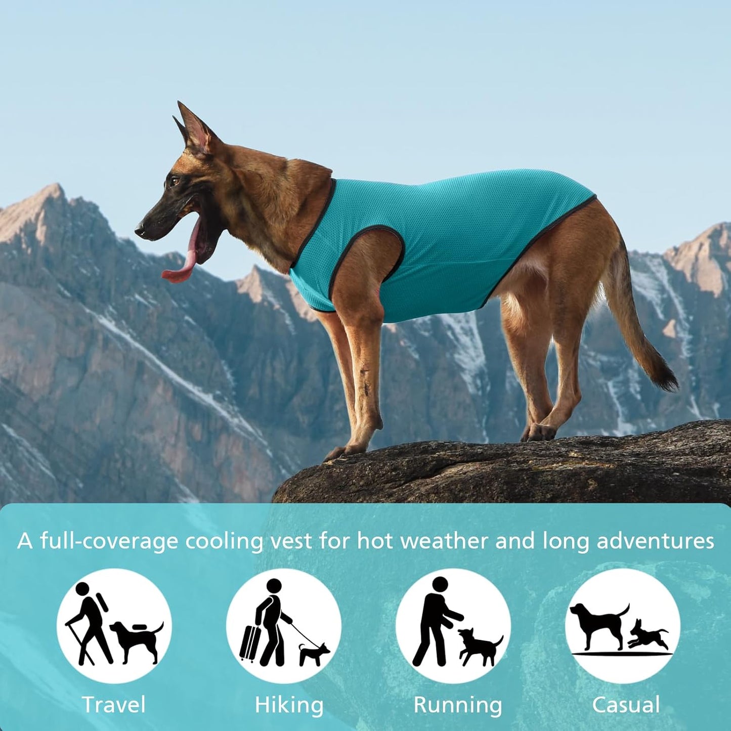 2 Pack Cooling Shirts for Dogs, Lightweight Mesh Breathable Dog Clothes for Small Dogs Boy Girl,Sun-Protection Sleeveless Shirts for Dog&Cat Puppy Vest Pet Apparel - M